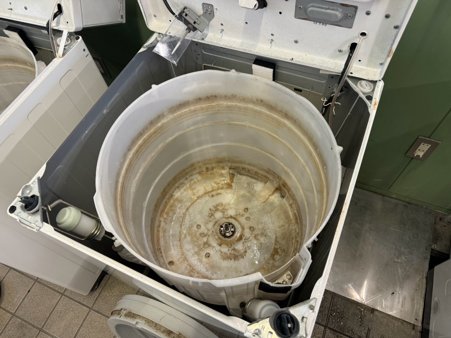 洗濯機本体を開けた状態、外槽の内側全体が茶色い水垢・カビ汚れで覆われている