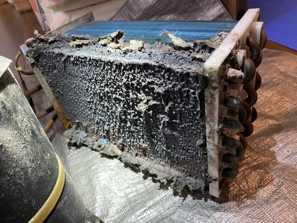 ドラム式洗濯機の乾燥ユニットに詰まったホコリ